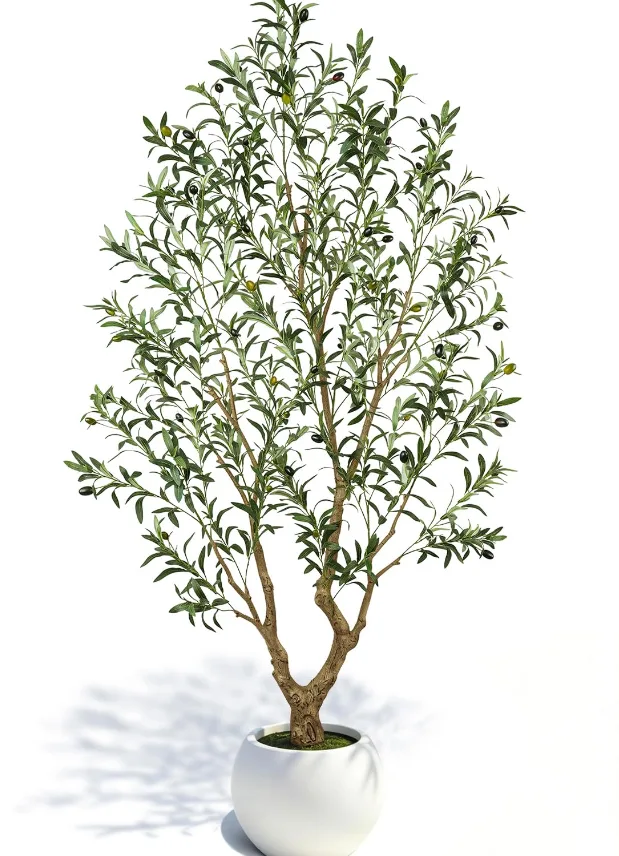 Artificial Olive Tree in White Pot